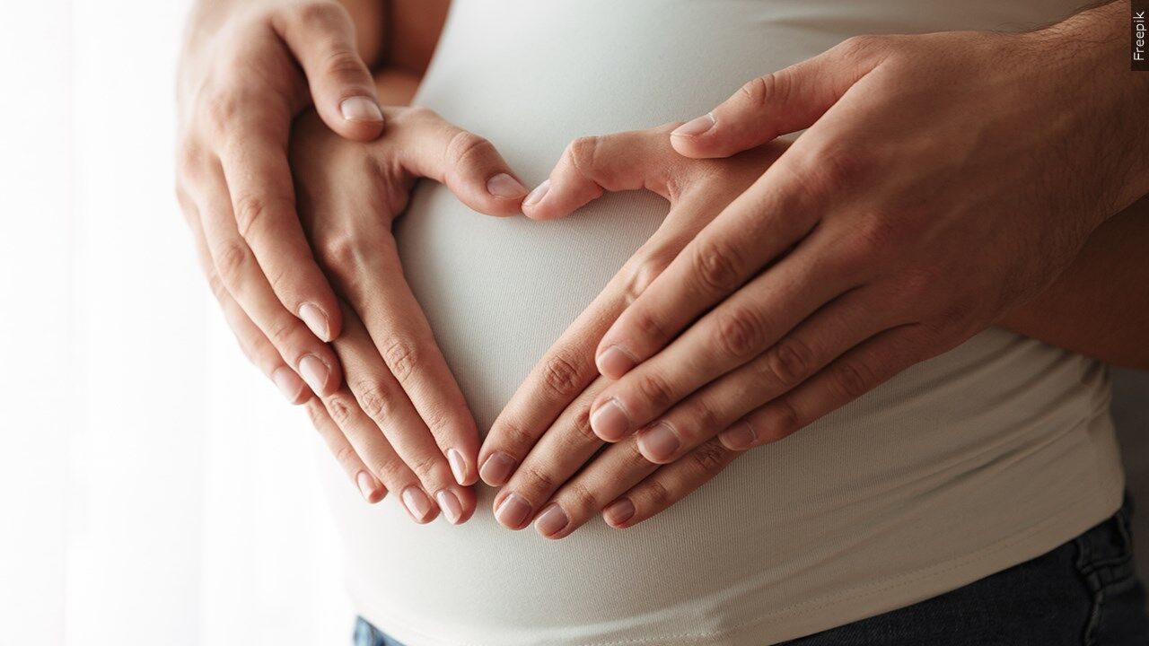 Senators Coons and Collins introduce bipartisan resolution supporting Bump Day